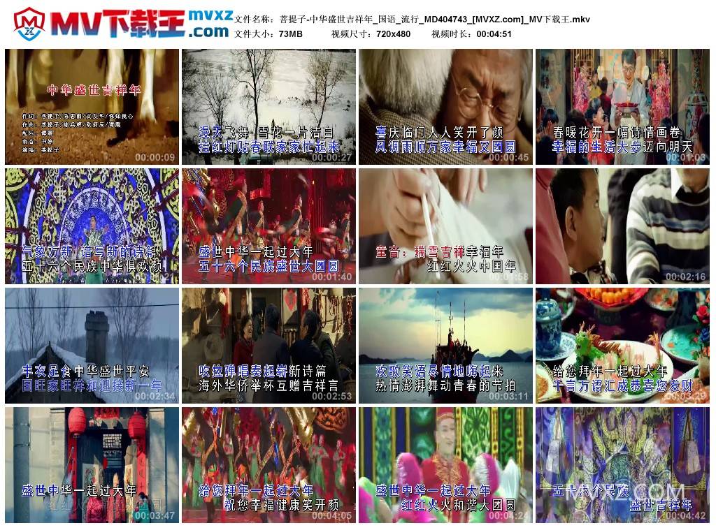 菩提子-中华盛世吉祥年_国语_流行_MD404743